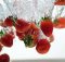 strawberries-5824229_640