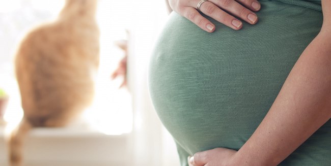 Evitare la toxoplasmosi in gravidanza. Dieta anti toxoplasmosi